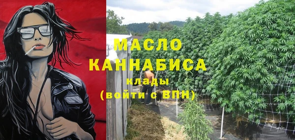 индика Армянск