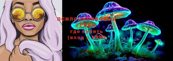 индика Армянск