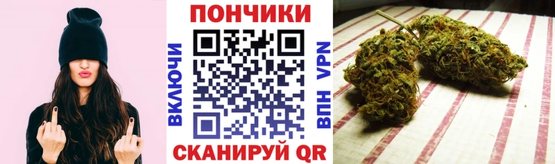 Купить закладки  Елабуга  Бошки Шишки семена 